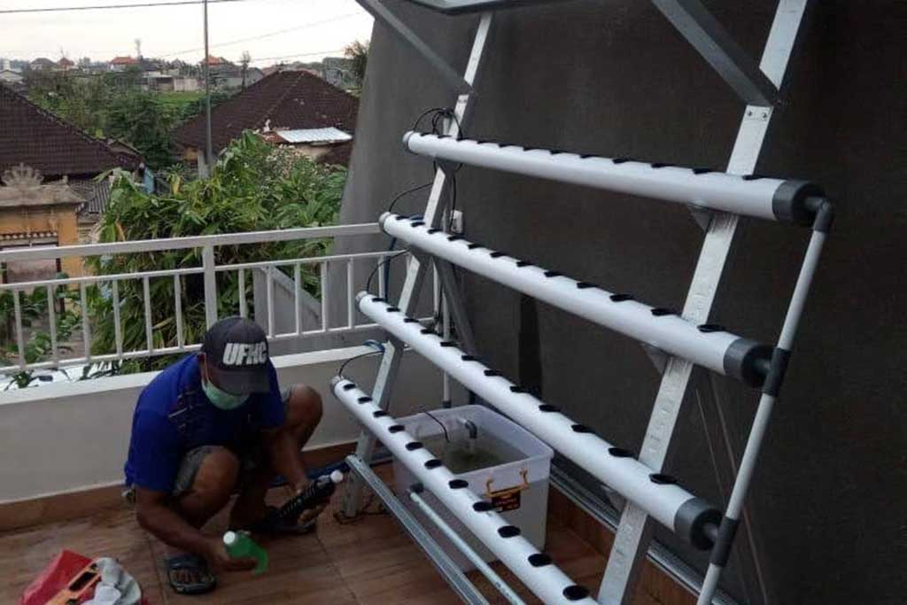 Hydroponic Kerobokan Bali