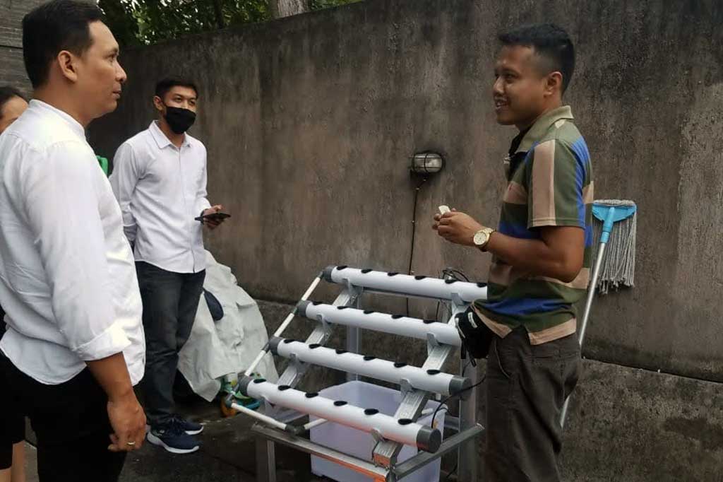 Hidroponik di Canggu Bali