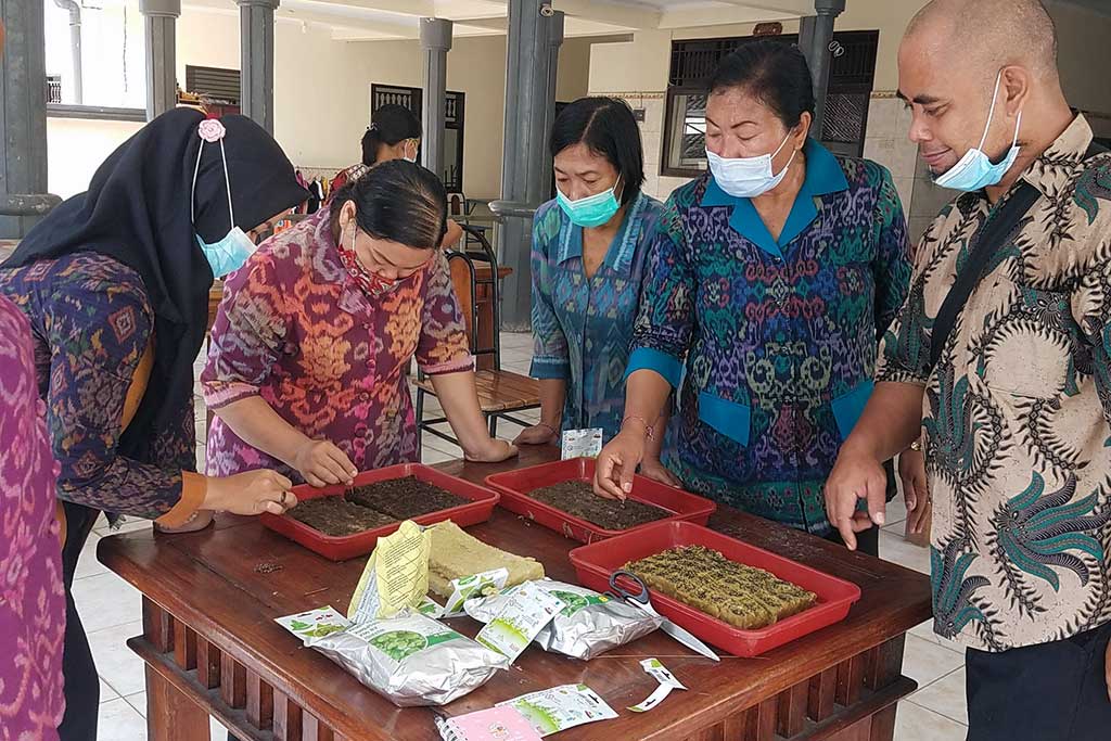 Pengenalan Hidroponik di Tabanan