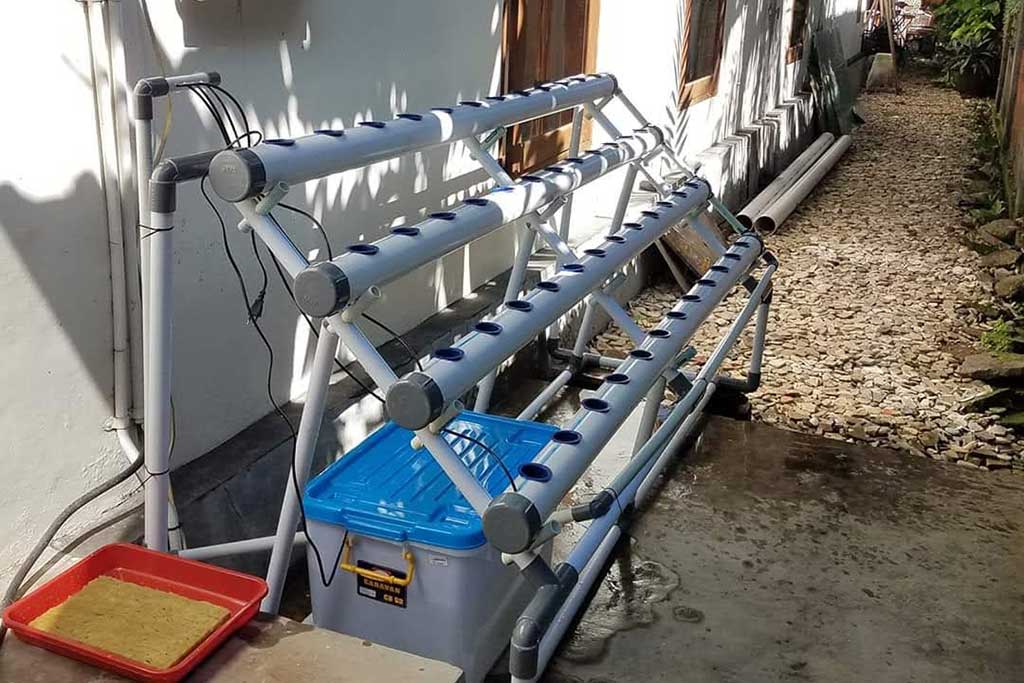 Hidroponik Medium dengan PVC