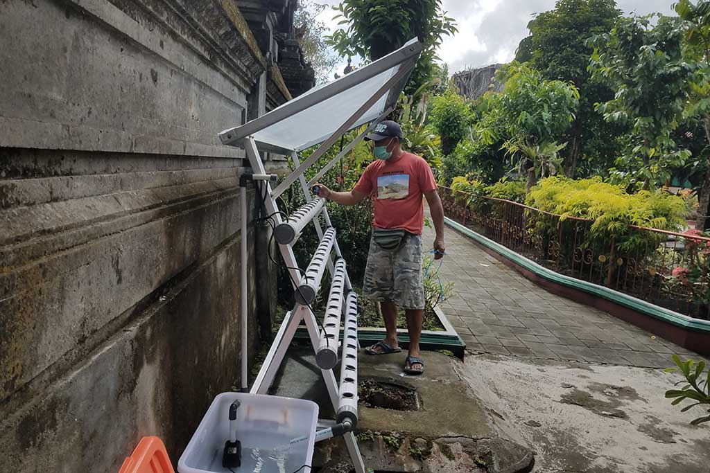 Hydroponics di Sading