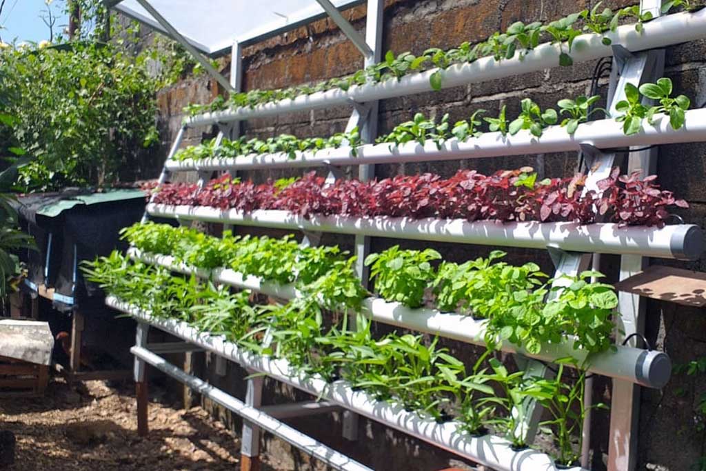 Street Kid Centre Balilife Foundation