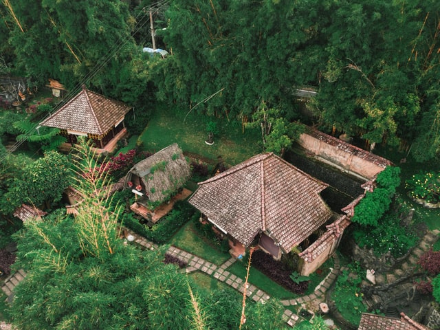 garden